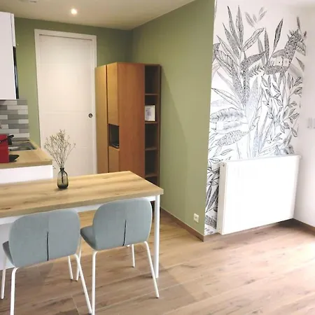Apartment Avec Terrasse Et Acces Piscine Proche